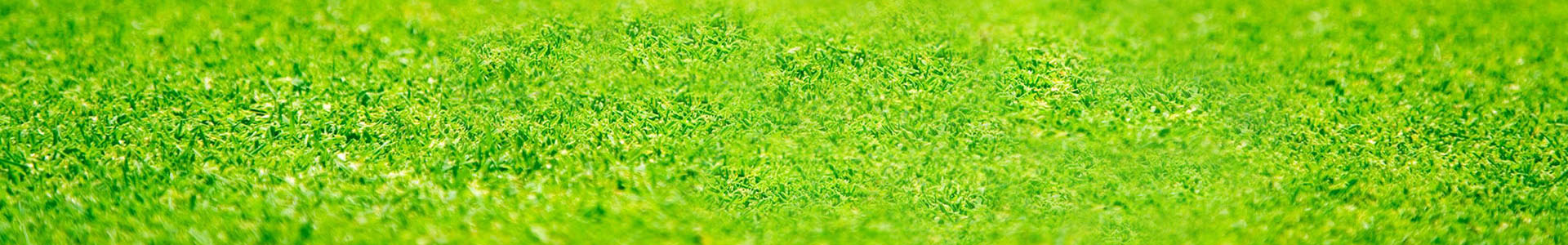 室內環境監測專題