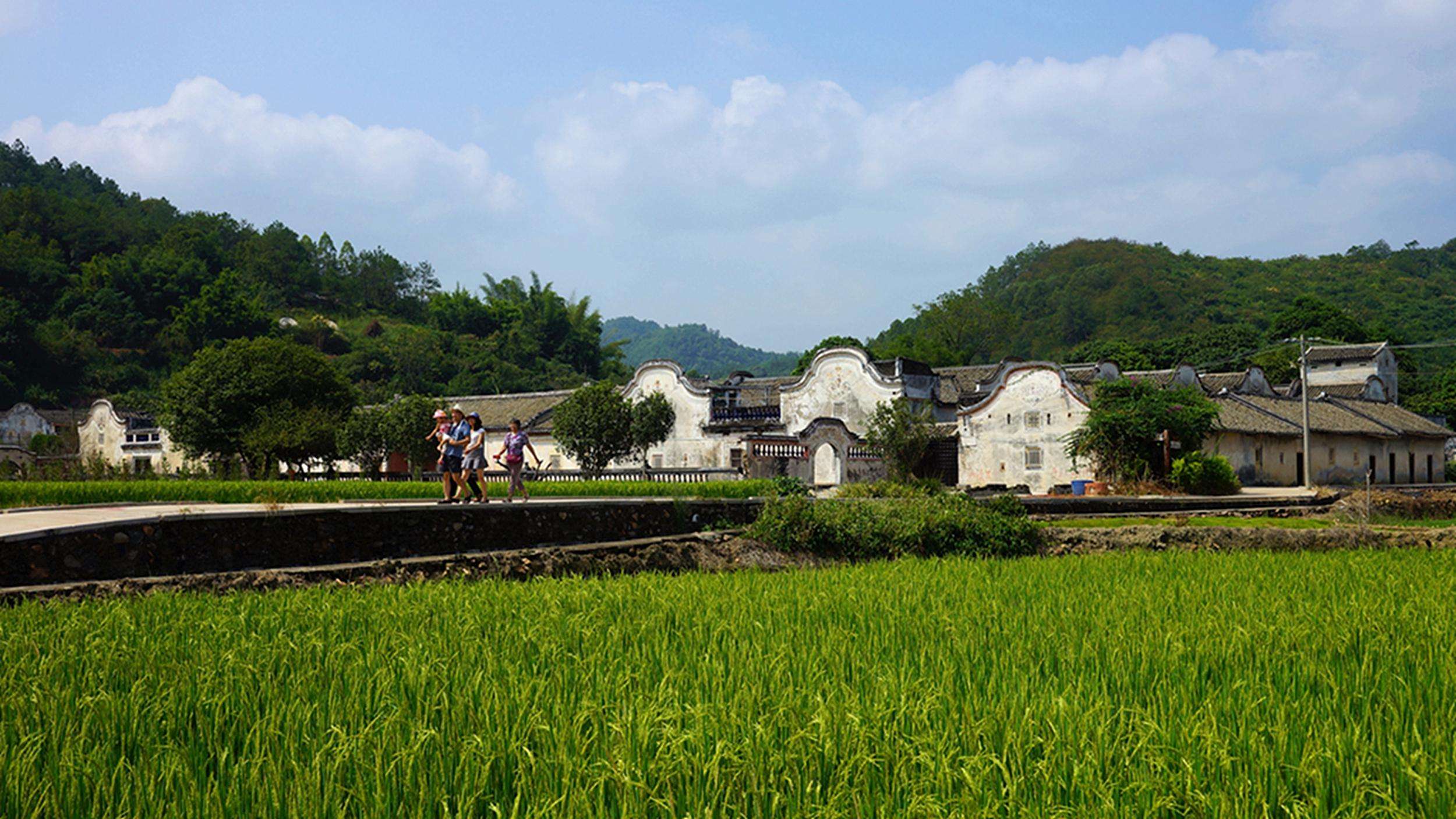 鄉村環境污染的相關問題解讀 鄉村環境污染的相關問題解讀