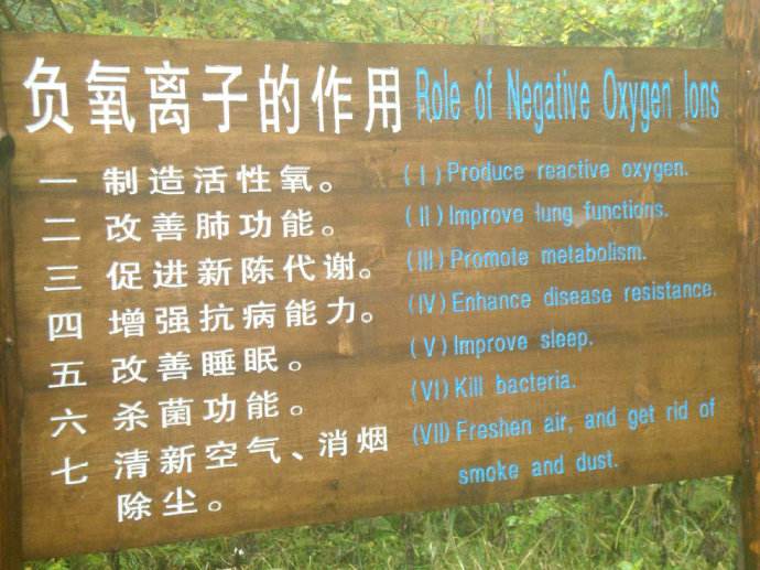 森林大環境監測為什么要做負氧離子監測項? 森林大環境監測為什么要做負氧離子監測項?