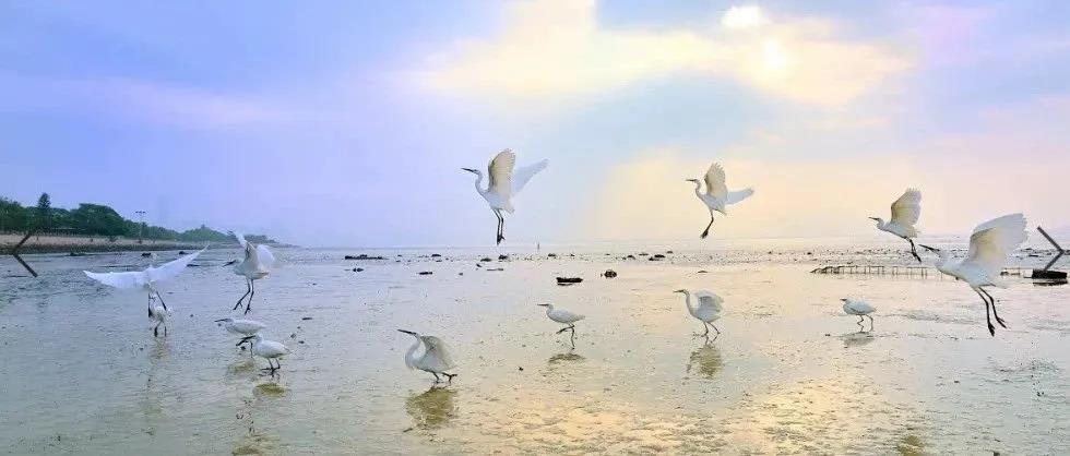 深圳市市生態環境保護委員會第一次會議召開 深圳市市生態環境保護委員會第一次會議召開